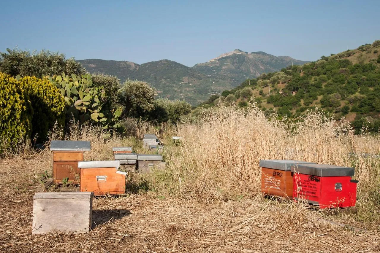 Farm stay Azienda Agrituristica Bergi Villa Castelbuono  Italy