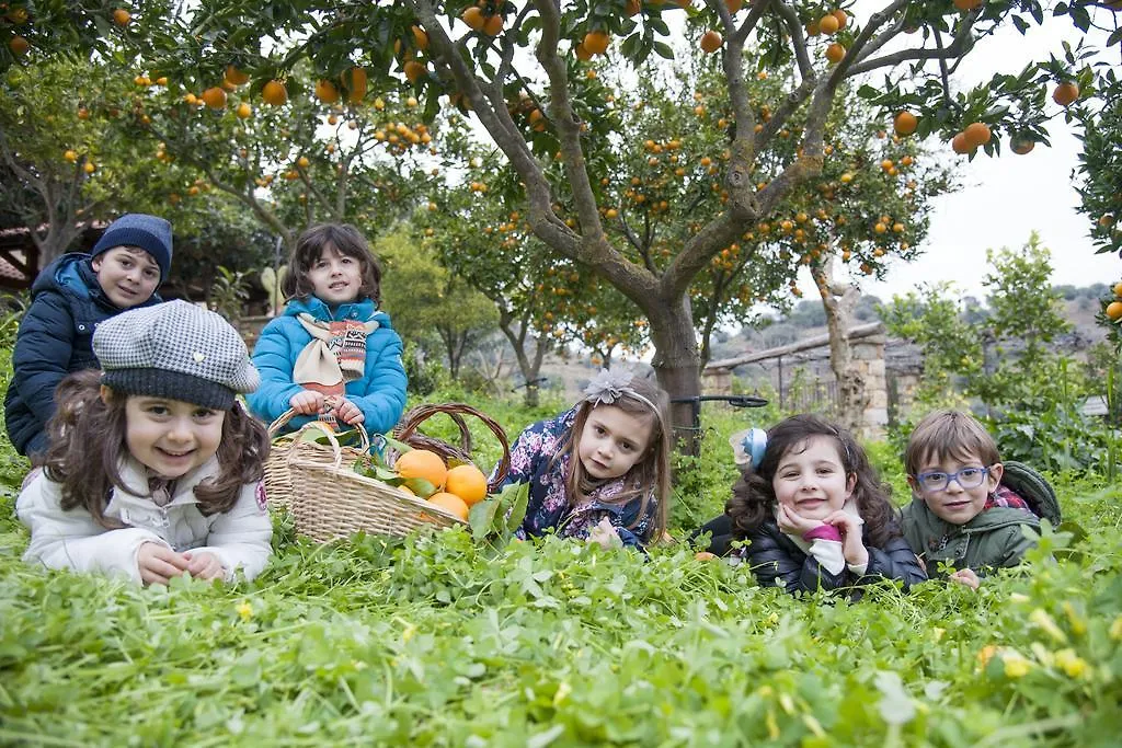 Farm stay Azienda Agrituristica Bergi Villa Castelbuono